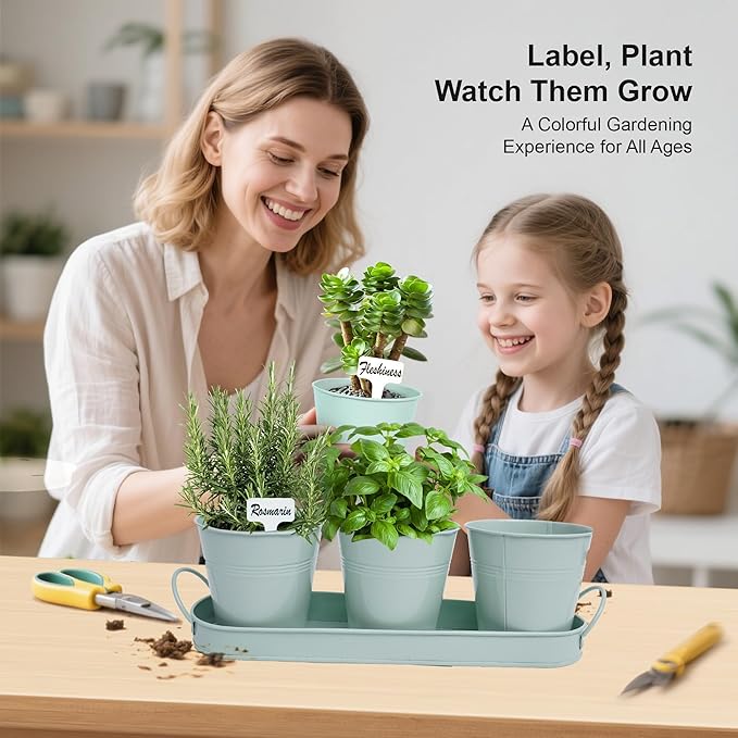 Herb Garden Planter Indoor Kit – 6 Metal Pots with 2 Trays for Windowsill & Kitchen Counter – Modern Decorative Indoor Planters for Herbs, Succulents & Small Plants, Mint Wacloud