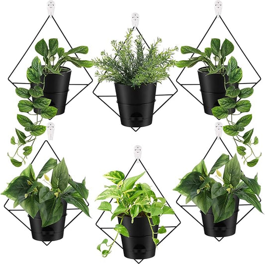 Baderke 6 Sets Wall Planters for Indoor Plants Hanging Wall Planter with Metal Holder Geometric Self Watering Wall Pots Mounted Succulent Pots, 5" Black Plant Container Baderke