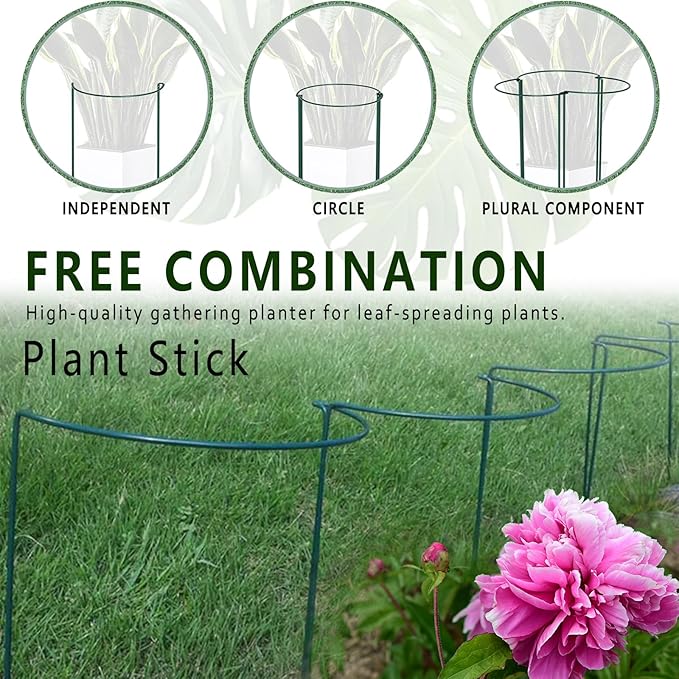 6 Pack Plant Support Stakes, 15.8" Half Round Metal Garden Plant Supports for Indoor Plants, Green Plant Cage Ring for Monstera, Peony, Hydrangea, Potted Plant Holder Sticks (10" Wide) Soupiar
