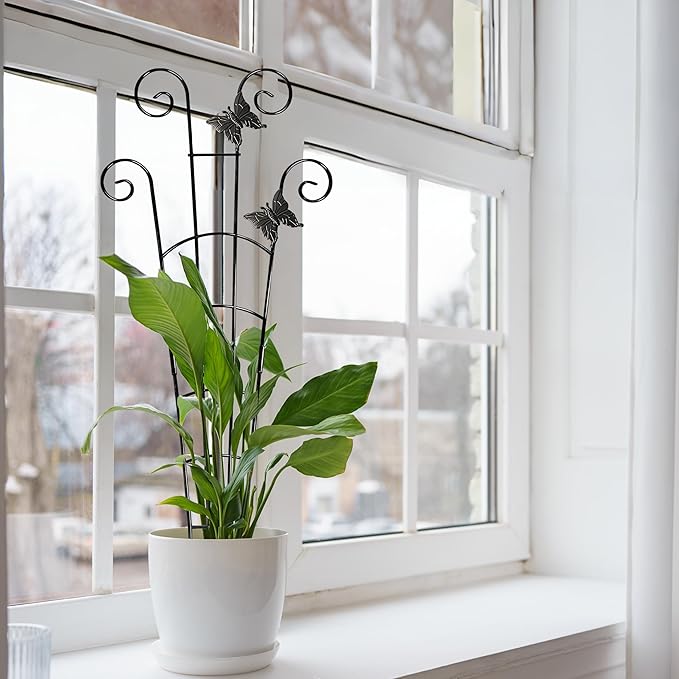 COOMIN 30'' Monstera Plant Support Outdoor, Metal Expandable Plant Supports for Indoor Plants, 2P Garden Trellis for Climbing Plants Indoor - Ivy, Pothos, Philodendron, Hoya COOMIN