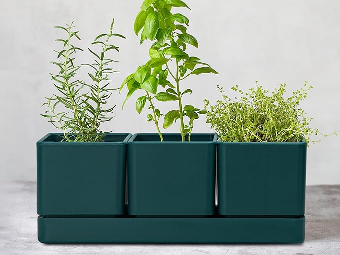 D'vine Dev Herb Garden Planter Set, Plastic Plant Pots with Drainage and Saucer, Indoor Succulent Cactus Vegetable Pot for Windowsill, Garden Balcony, Green, Set of 1, 76-V-C-1 DvineDevPlanterPotsandStand