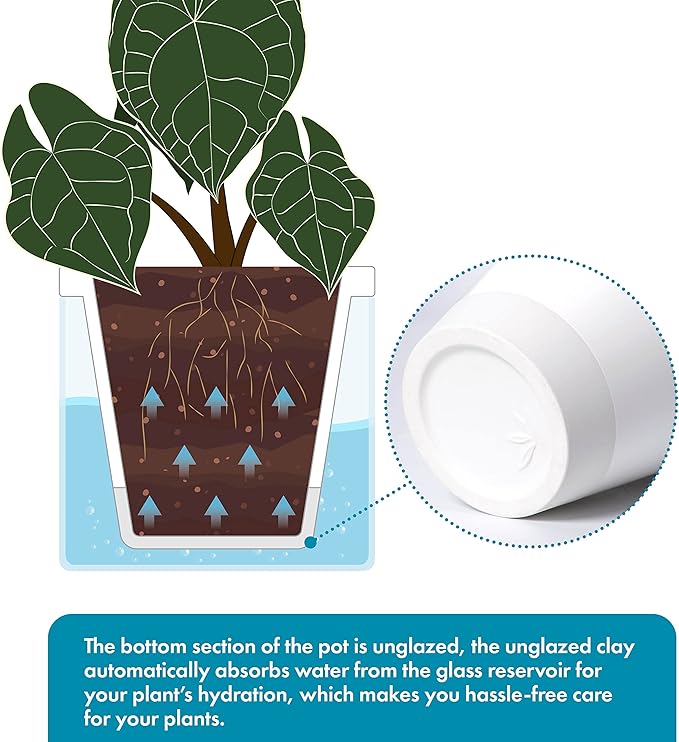 D'vine Dev 6 Inch Design Self Watering Planter for Indoor Plants, White Terracotta Pots with Cylinder Glass Cup, 37-X-B-2 DvineDevPlanterPotsandStand