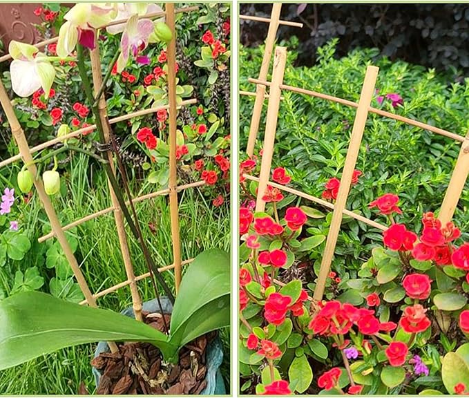 16Inch 5Pack Bamboo Trellis for Climbing Plants, Garden Ladder Trellis for Potted Plants Indoor, Fan Shaped Small Plant Support Trellis for HousePlants Ivy Vine Monstera 3-4 Avalution