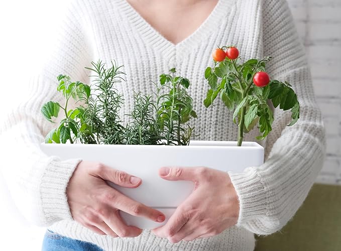 D'vine Dev 12 Inch Window Box Planter, Rectangle Plastic Herb Planter with Drainage Holes and Saucer, Indoor Succulent Cactus Vegetable Pot for Windowsill, Garden Balcony, White, Set of 1, 76-X-A-1 DvineDevPlanterPotsandStand