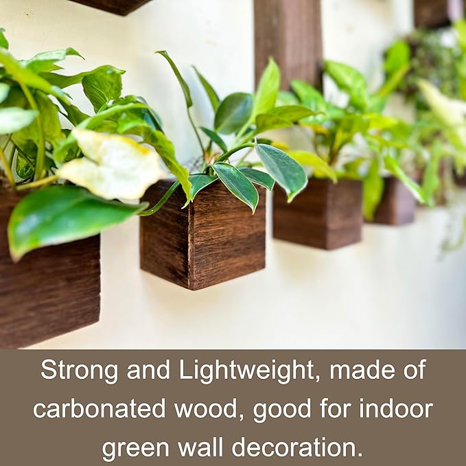LaLaGreen Wood Planter Boxes for Indoor Plants (4x4 Inch, 6 Pack) Small Square Wall Mounted Planters Flower Pot, Herb Wooden Box Hanging Plant Holder Outdoor Balcony Vertical Garden Modern Home Decor L%C3%A1L%C3%A1Green
