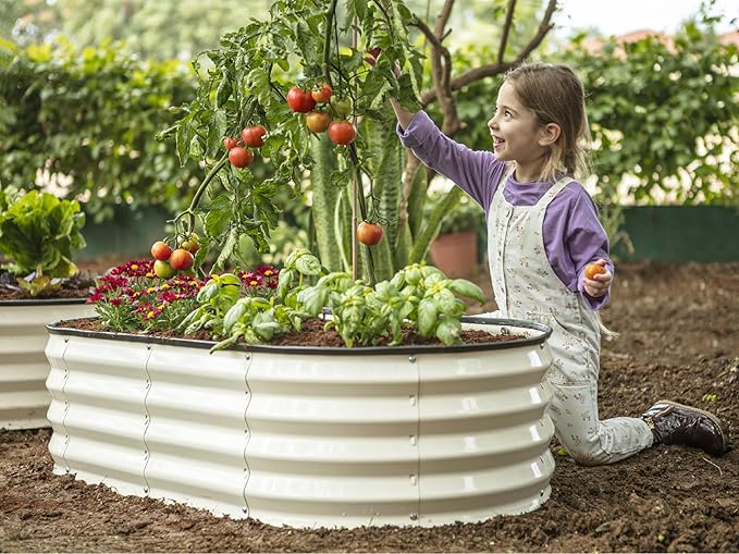 Plant & Plot Galvanized Raised Garden Beds Outdoor // 4×2×1 ft (2-Pack) Planter Raised Beds for Gardening, Vegetables, Flowers // Large Metal Garden Box (White) // Patented Tool-Free Design PlantPlot