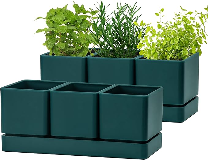 D'vine Dev Herb Garden Planter Set, Plastic Plant Pots with Drainage and Saucer, Indoor Succulent Cactus Vegetable Pot for Windowsill, Garden Balcony, Green, Set of 2, 76-V-C-2 DvineDevPlanterPotsandStand