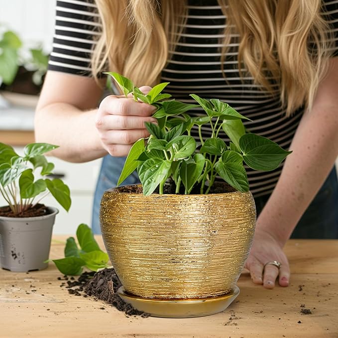 Indoor Plant Pot 6 Inch - Ceramic Pot for Plants Outdoor Planter with Drainage Hole and Saucer Round Decorative Planter Modern Flower Pot for Home Decor Gold Ceramicfor