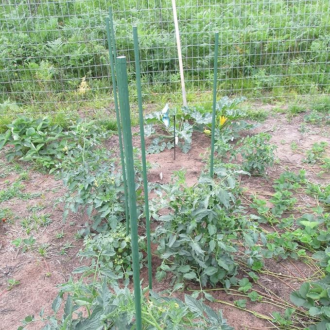 Garden Plant Stakes 36 Inch 3Ft Steel Plant Stick Support, 25 Pack Tomato Stakes for Growing Climbing Plants, Potted Plants, Tomatoes, Trees, Cucumber, Beans, Fences Poles Xuwzenkl