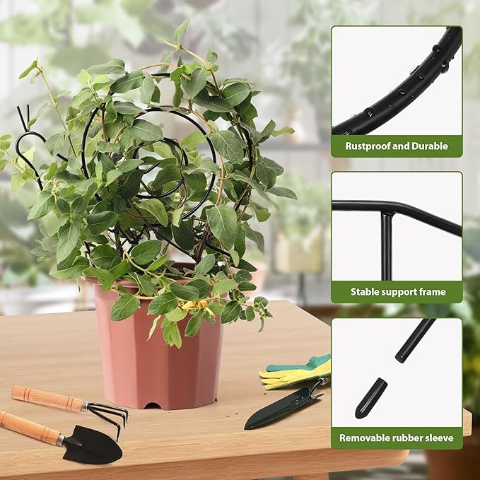 2 Pack Plant Trellis Indoor, 11" W x 13" H Small Trellis for Potted Plants, Decorative Trellis for Climbing Plants Indoor, Ideal for Vines on Tabletops, Balconies, Gardens and Lawns, Snail-Shaped FHWTY