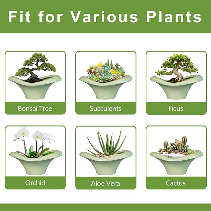Ceramic Bonsai Pots - Large Succulent Planter 13 Inch Plant Pot Indoor Succulent Pot with Drainage Hole Outdoor Planter Bonsai Tree Pot for House Home Garden Office Decor Green Teagas