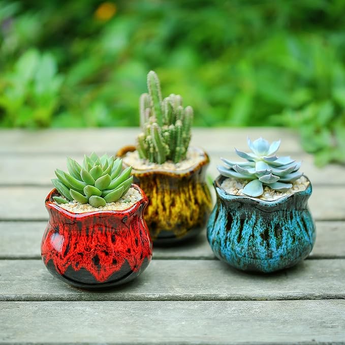 Cute Ceramic Succulent Planters, Garden Pots with Drainage and Attached Saucer, Set of 6 - Plants Not Included Fulloog
