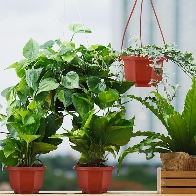 Roshtia 50 Pcs 3.7 inch Plastic Hanging Plant Pots with Hooks Flower Pots Baskets Outdoor Hanging Nursery Planter Holder for Home Garden Balcony Porch(Brown, 3.7 inch) Roshtia
