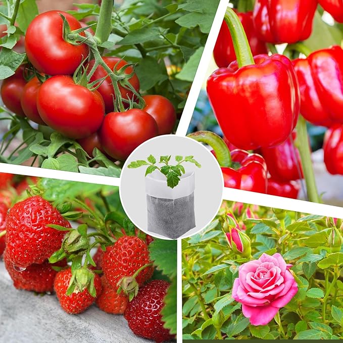 Cosweet 13.5''H Deep Nursery Grow Bags, Biodegradable Non-Woven Fabric Planting Pots for Indoor and Outdoor Garden Growing Seedlings Vegetables Flowers Fruits (60 PCS) Cosweet