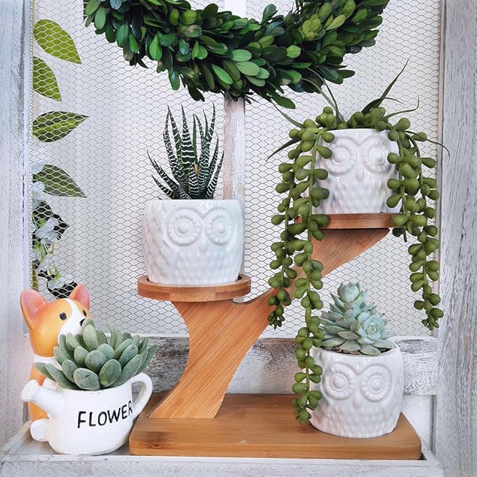 3pcs Owl Succulent Pots with 3 Tier Bamboo Saucers Stand Holder - White Modern Decorative Ceramic Flower Planter with Drainage - Home Office Desk Garden Mini Cactus Plant Pot Indoor Decoration Winlyn