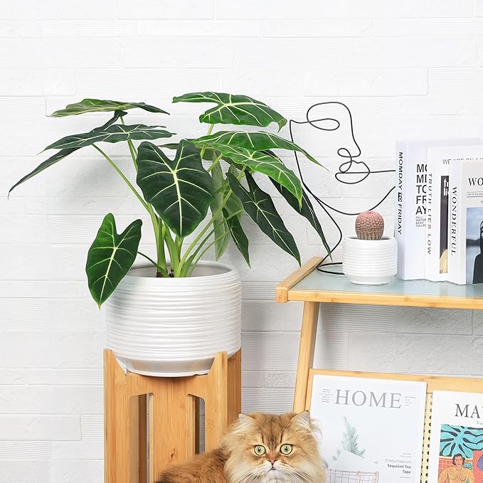 10 Inch Ceramic Plant Pot with Drainage – Large Flower Pot for Indoor Outdoor Plants, Modern Decorative Planter for Patio, Balcony, Garden, or Home Decor Bestseler