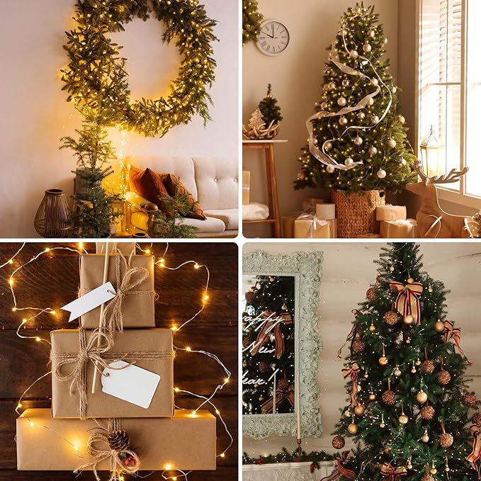 66Ft 200LED Fairy Lights Plug in with Remote, Waterproof String Lights Outdoor & Indoor 8 Modes with Timer, LED Twinkle Lights for Girl's Room Garden Patio Halloween Christmas Decorations (Warm White) BHCLIGHT