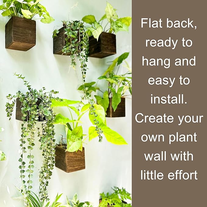 LaLaGreen Wood Planter Box for Plants (4x4 Inch, 2 Pack) Small Square Wall Planters for Indoor Plant, Window Hanging Flower Pot Wooden Boxes for Table Centerpiece Herb Balcony Home Garden Office Decor L%C3%A1L%C3%A1Green