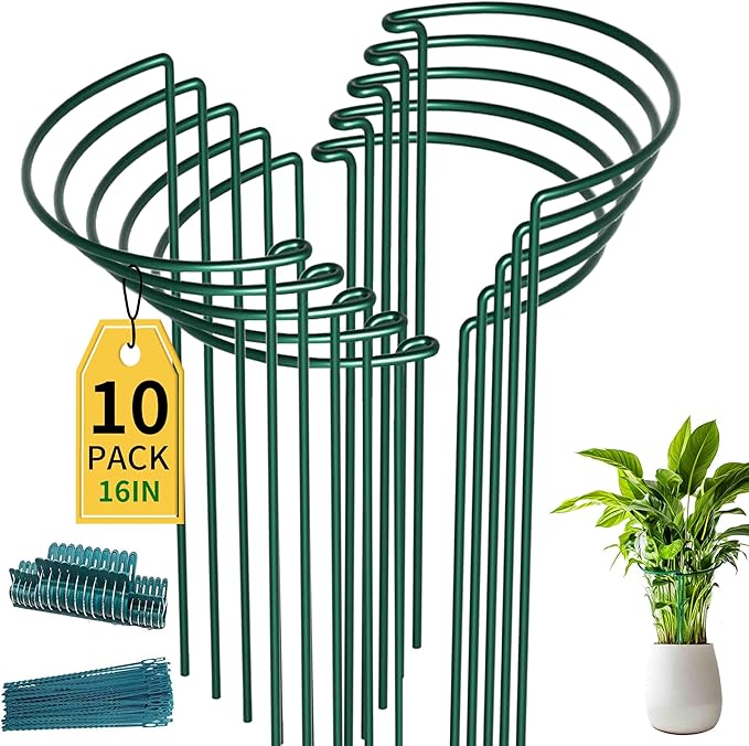 TCBWFY 10 Pack Garden Plant Support Stakes,10" Widex16 High Heavy Duty Interlinked Half Round Peony Support Ring Cage for Indoor Outdoor Plants,Plant Supports for Peony,Tomato,Hydrangea,Rose TCBWFY