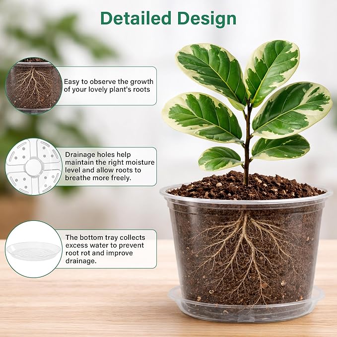 8 Packs 8 Inch Reinforced Large Clear Nursery Pots with Sacuers, Transparent Plastic Plant Pot Seedling Planter with Drainage Holes for Vegetable Propagation, Root Cutting, Seed Starting Bluepro