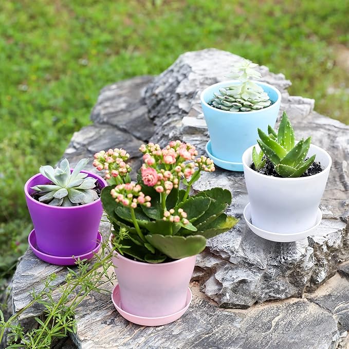 TDHDIKE 10 Pcs Plastic Planters Indoor Flower Plant Pots, Mini Flower Seedlings Nursery Pot/Planter/Flower Pot with Pallet, Modern Decorative Gardening Containers (White25) TDHDIKE