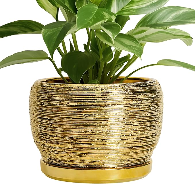 SQOWL Ceramic Flower Pot - 8 Inch Plant Pot Indoor Outdoor, Round Planter with Drainage Hole and Saucer, Decorative Modern Planter, Home Decor, Plant Lovers Gifts, Gold SQOWL