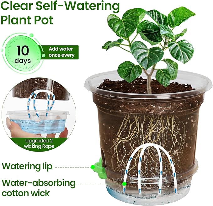 MIXC 12 Packs 6.5 Inch Self Watering Pots for Indoor Plants - Clear Nursery Plant Pots with Drainage, Deep Visible Reservoir - Flower Planter Outdoor with Wicking Rope MIXC