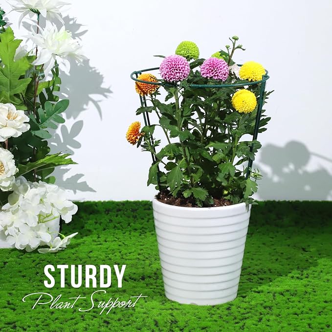 LEOBRO Plant Support, 8PCS Peony Cages and Supports, Plant Stakes for Indoor Plants, Outdoor Plants, Plant Holders, Tomato Monstera Hydrangea Support Cage, 10" W x 15.8" H LEOBRO
