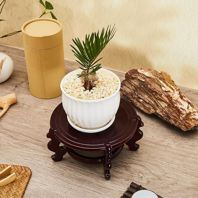 Geetery 2 Pcs 4 to 12 in Wooden Plant Stands Indoor Chinese Oriental Plant Stand for Vase Fishbowl Flower Pot Lamp Redwood Base Vintage Display Rack Decor(6 Inch) Geetery