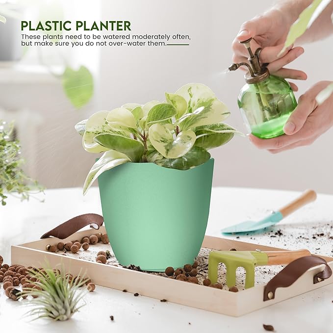 Utopia Home - Plant Pots Indoor with Drainage - 7/6.6/6/5.3/4.8 Inches Home Decor Flower Pots - Plastic Planters for Indoor Plants, Cactus, Succulents Pot (Mint, Pack of 10) UTOPIAHOME