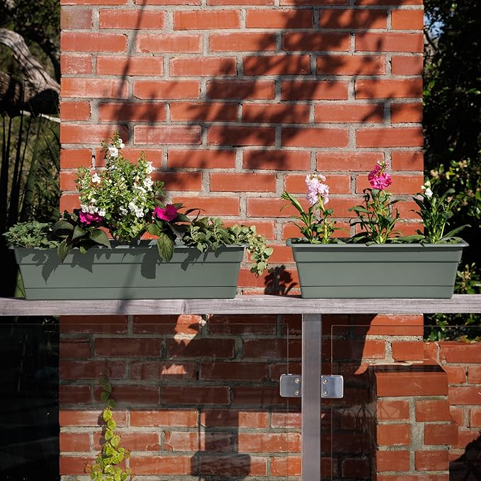 Bloem Dura Cotta 30" Basil Resin Rectangle Window Box Planter with Saucer Tray for Indoor and Outdoor Gardening Bloem