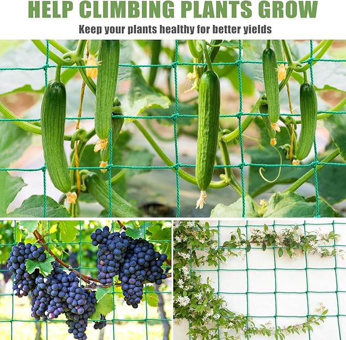 Trellis Netting, Heavy Duty Garden Trellis Netting for Climbing Plants Outdoor w/Plant Clips, 6.6x9.85 Ft Plant Netting for Cucumber, Tomato, 27 Strands & 4x4 in Mesh, Grow Net for Fruits, Vegetables SHPPETONB