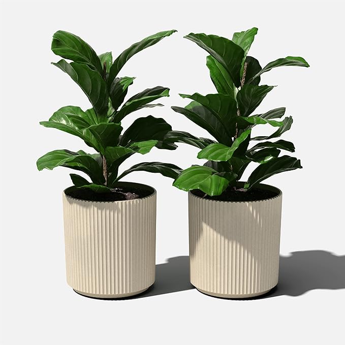Veradek Demi Planter for Indoor/Outdoor Use | Made from Plastic & Concrete w/Drainage Holes | Modern Décor for Trees, Tall Plants, Flowers VeradekOutdoor
