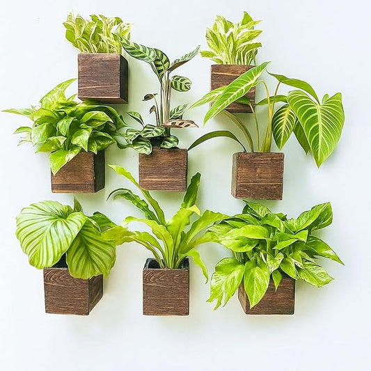 LaLaGreen Wood Planter Boxes for Plants (4x4 Inch, 8 Pack) Small Square Wall Mounted Planters for Indoor Plant, Herb Wooden Box Hanging Flower Pot Plant Holder Outdoor Fence Vertical Garden Home Decor L%C3%A1L%C3%A1Green