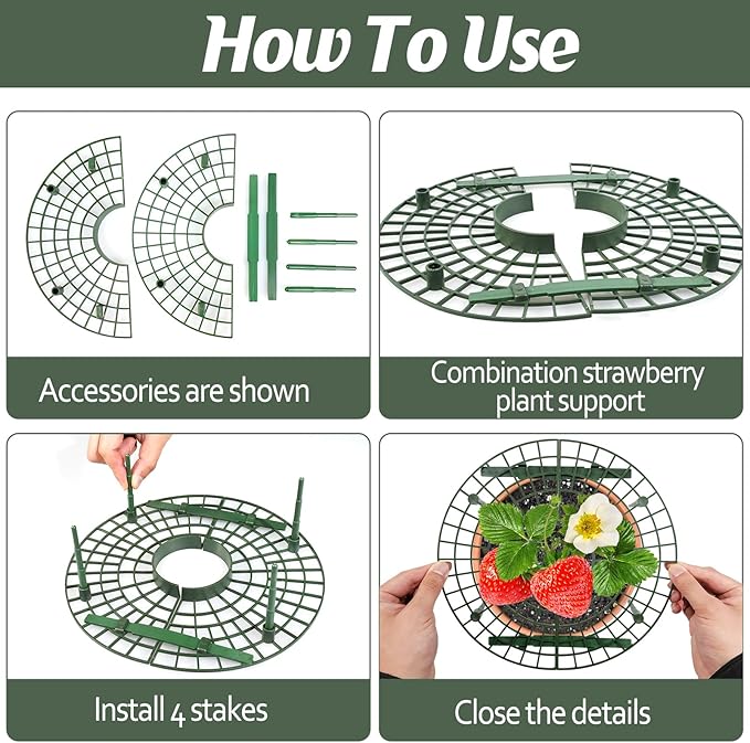6 Sets Strawberry Plant Support with Mesh Plant Cover,Strawberry Growing Racks Sets with Iron Plant Nails and Storage Bag for Garden Strawberry Vegetables(White Net - Round) Rootora