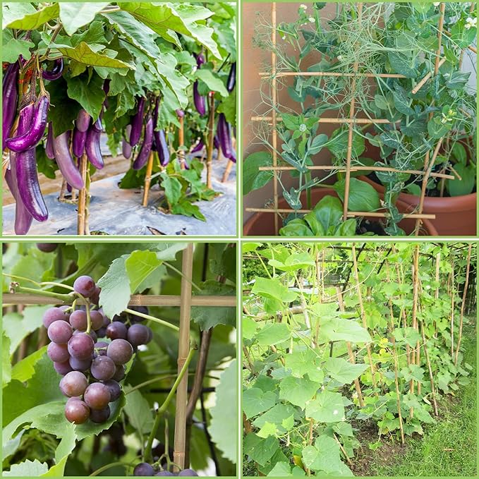Plant Stakes,4.8FT Longer Sturdy Natural Bamboo Garden Stakes,GAGINANG 20Pcs Bamboo Sticks Trellis Support for Tomato, Vegetables Beans Trees Climbing Plants GAGANANG