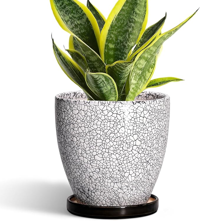 Ceramic Plant Pots - 6 Inch Planters for Indoor Outdoor Plants, Round Plant Pot with Drainage Hole and Saucer, Ceramic Succulent Pots, Desk House Decor, Gardening Gifts for Women, White-Black EPFamily
