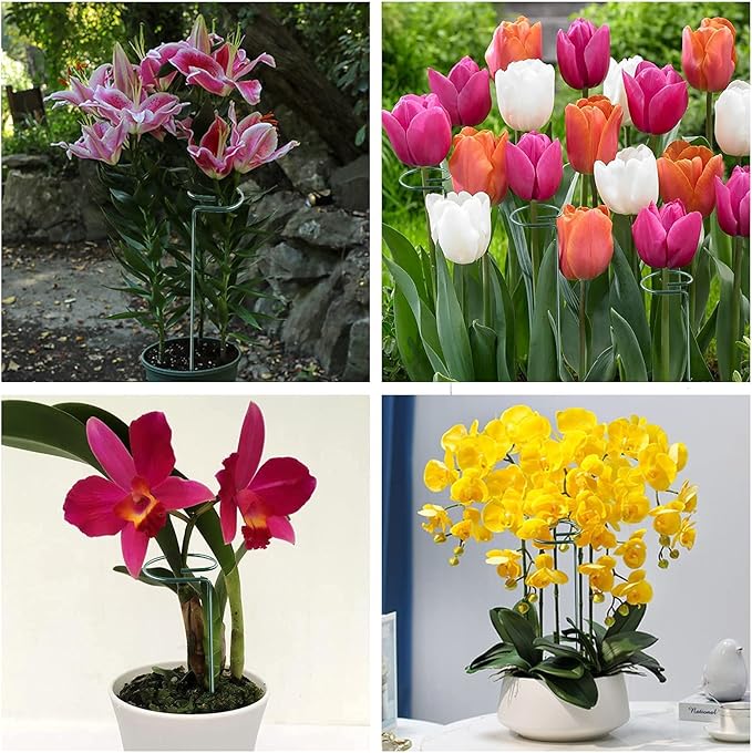 Joyhalo 12 Pack Plant Stakes, 16 Inch Plant Support Stakes, Plant Sticks Support with 24 Twist Ties, Flower Stakes for Plants Peony, Amaryllis, Marigold, Coreopsis, Tomato Seedling, Sapling Etc Joyhalo