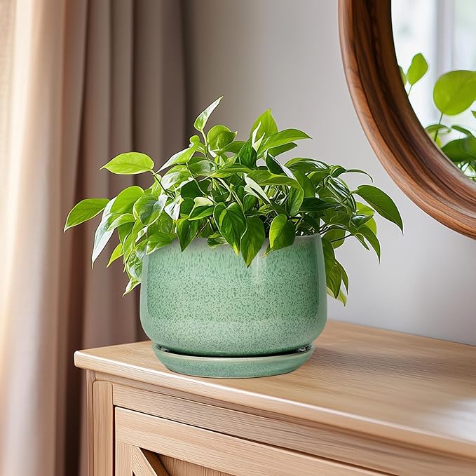 G EPGardening Ceramic Pots for Plants - 6 Inch Plant Pot with Drainage Hole and Saucer, Modern Ceramic Planter for Indoor Outdoor, Round Flower Planter, Gifts for Plants Lovers, Home Decor, Green GEPGardening