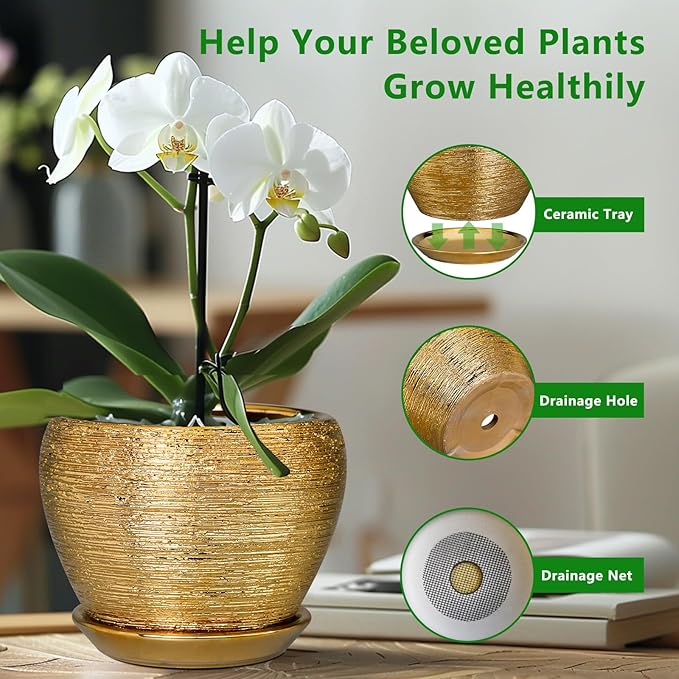 Indoor Plant Pot 6 Inch - Ceramic Pot for Plants Outdoor Planter with Drainage Hole and Saucer Round Decorative Planter Modern Flower Pot for Home Decor Gold Ceramicfor