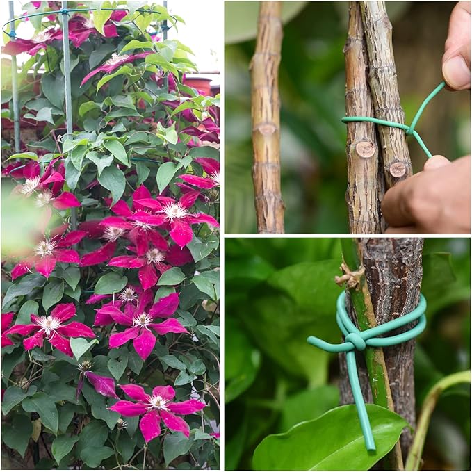 YDSL 88 feet Garden Flexible Wire, Soft Twist Plant Ties for Plant Vines and Office Organization (Diameter - 3MM) YDSL
