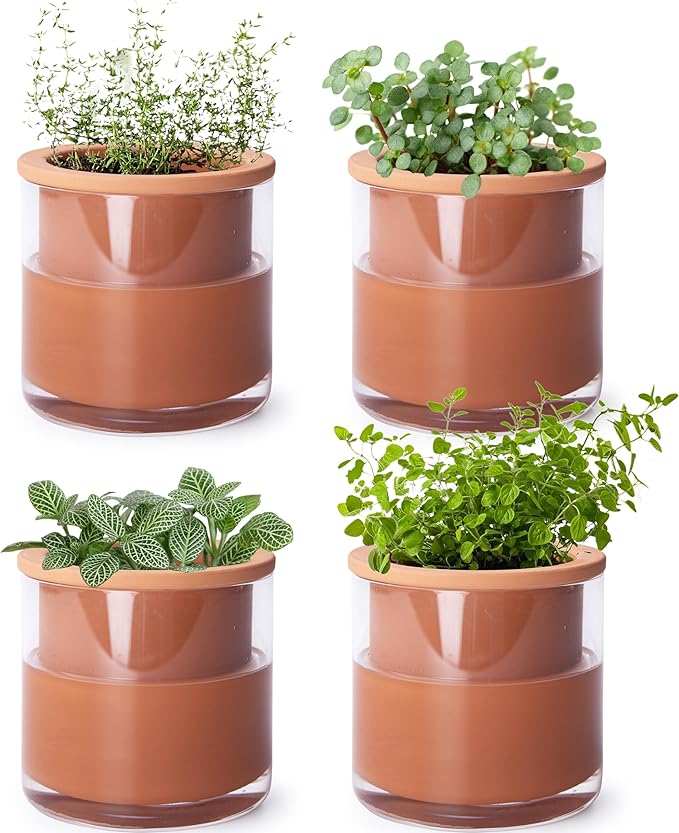 Phoenix Vine 4 Inch Self Watering Plants Pot, Design Terracotta Pot for Plants, Indoor Cylinder Terra Cotta Planter with Glass Vase, Set of 4, 51-A-E-4 Phoenix+Vine