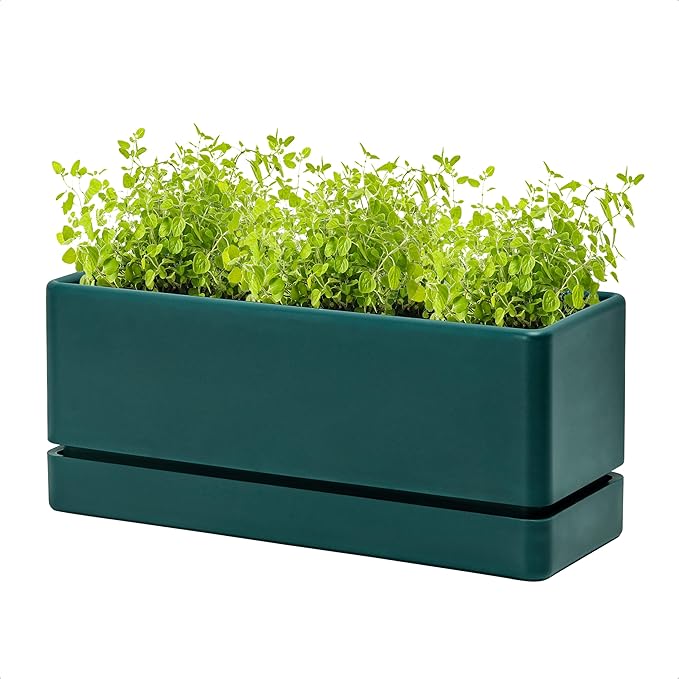 D'vine Dev 12 Inch Window Box Planter, Rectangle Plastic Herb Planter with Drainage Holes and Saucer, Indoor Succulent Cactus Vegetable Pot for Windowsill, Garden Balcony, Green, Set of 1, 76-X-C-1 DvineDevPlanterPotsandStand