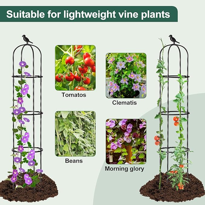 Garden Trellis for Climbing Plant Outdoor, 67" Tall Cucumber Trellis for Pot Raised Bed Climbing Vine Plants Vegetable Pea Bean Tomato Rose Clematis Cucumber Trellis, 2 Pack follook