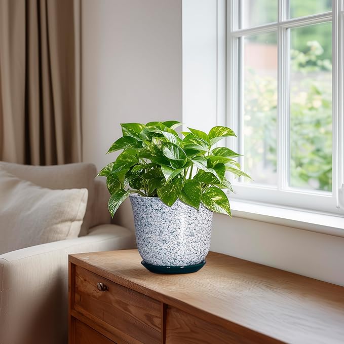 5.6 Inch Plant Pot - Ceramic Plant Pots for Indoor Outdoor, Round Orchid Succulent Pots with Drainage Hole and Saucer, Modern Flower Pot, Home Office Decor, Green-White SUNPOTFOR