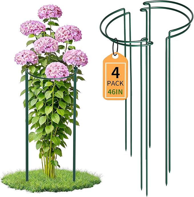 Garden Plant Support Cagess,High Heavy Duty Interlinked Half Round Peony Support Ring Cage for Indoor Outdoor Plants,Plant Supports for Peony,Tomato,Hydrangea,Rose (4, 16" Dx46 H) TCBWFY
