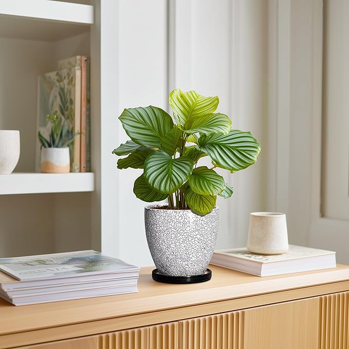 Ceramic Plant Pots - 6 Inch Planters for Indoor Outdoor Plants, Round Plant Pot with Drainage Hole and Saucer, Ceramic Succulent Pots, Desk House Decor, Gardening Gifts for Women, White-Black EPFamily
