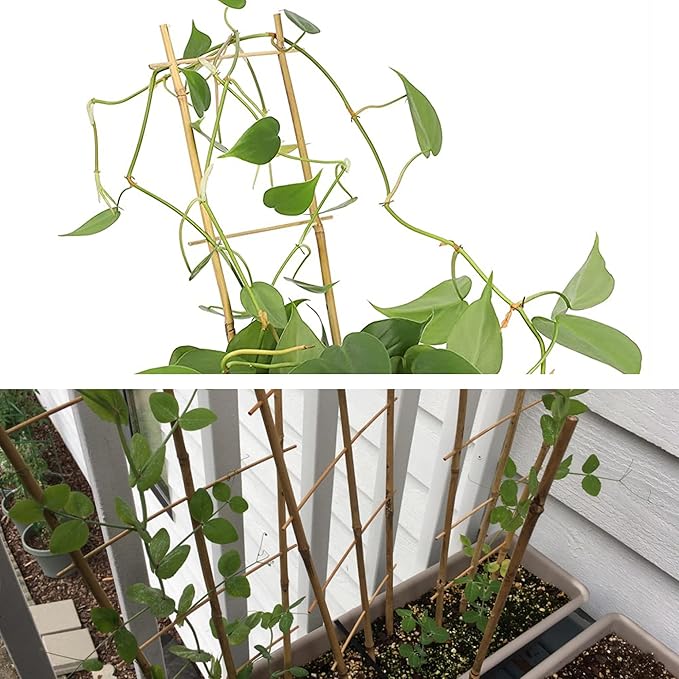 Avalution 10 Pack Natural Bamboo Trellis for Climbing Plants 16" Outdoor Garden Ladder Trellis, Fan -Shaped Plant Support Trellis for Potted Plant Avalution