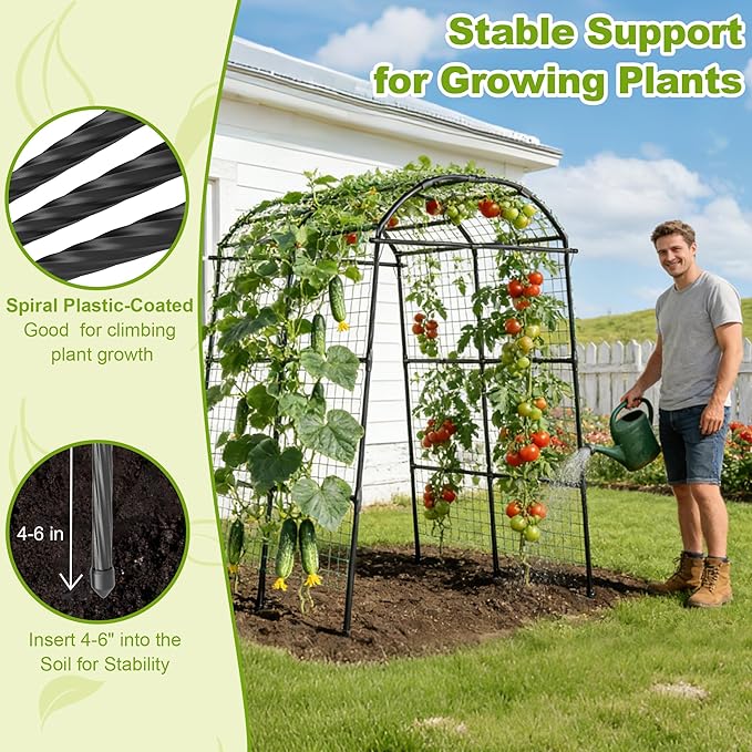Miory Garden Arch Trellis for Climbing Plants Outdoor, Metal Plants Support Trellis for Climbing Vine Tomato Vegetable Flower Fruit, Cucumber Trellis for Raised Bed (71 x 83 Inch) Miory