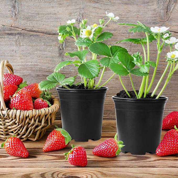 OJYUDD 120 Pcs 0.5 Gallon Black Plastic Plant Nursery Pots,Plant Seedling Pots with Drainage Holes,Black Flower Planting Container for Seedlings Transplanting,Planting,Succulent OJYUDD